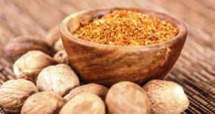 Manfaat Biji Pala untuk Kecantikan Mengatasi Jerawat Hingga Menjadikan Kulit Awet Muda
