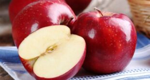 Kandungan dan 3 Manfaat Buah Apel untuk Kesehatan