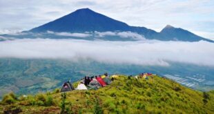 Menapaki Keindahan Alam Lombok Petualangan Mendaki di Bukit Tersembunyi