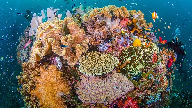 Pulau Wayag Raja Ampat