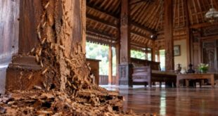 Rumah Joglo dan Limasan Butuh Pemeriksaan Berkala