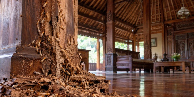 Rumah Joglo dan Limasan Butuh Pemeriksaan Berkala